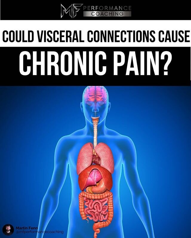 IS YOUR MUSCULAR PAIN CAUSED BY AN ORGAN?

Could that pain in your muscle that you just can't stretch, foam roll or massage away be caused by an organ?

Our organs share many connections with our muscles via:
- Fascia
- Meridian lines
- Vertebral ori