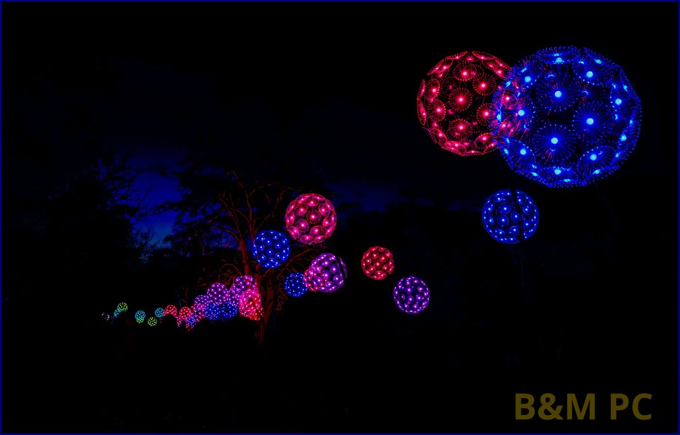 Seedheads..jpg