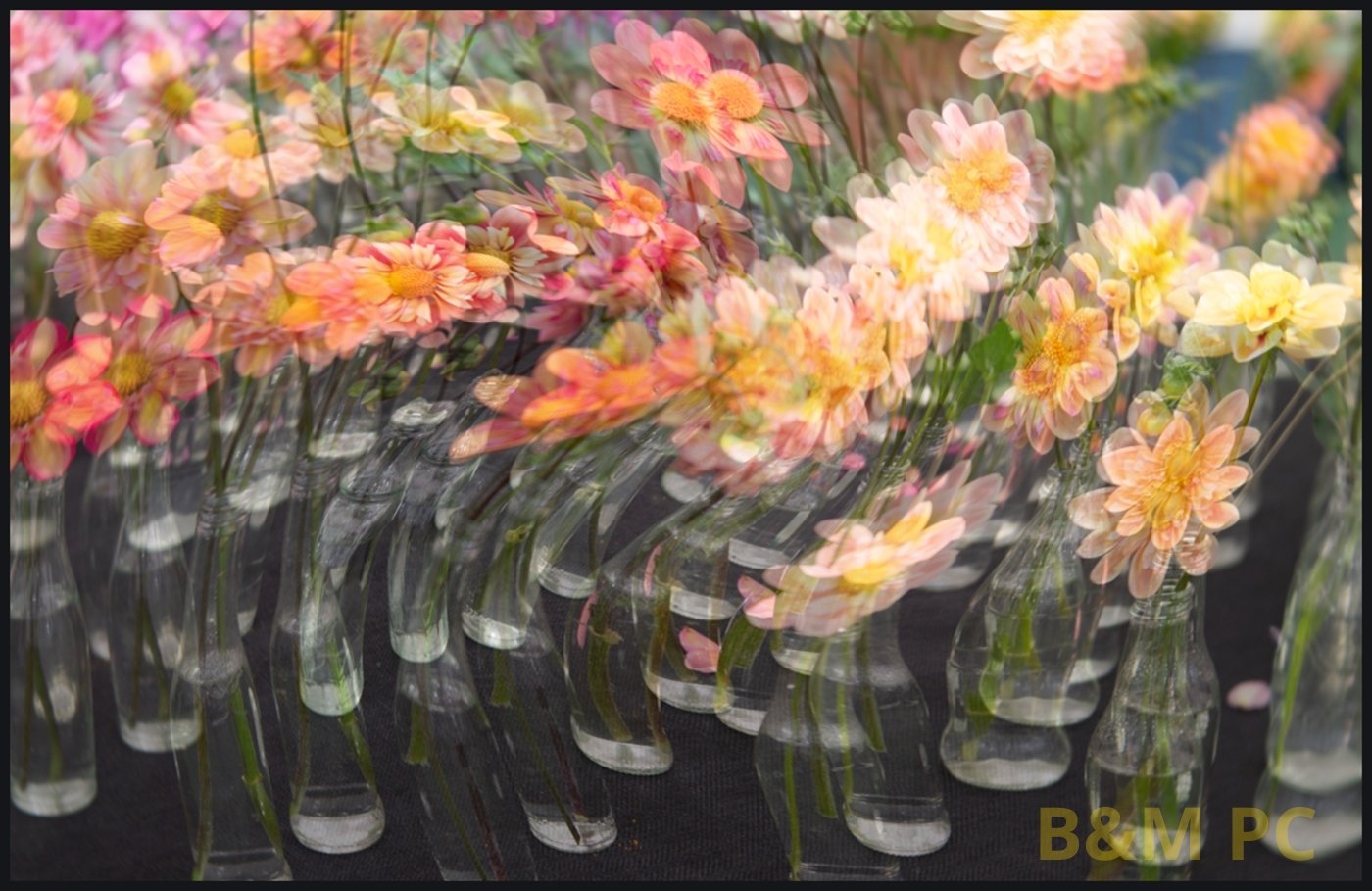 Bottled Sunshine.jpg