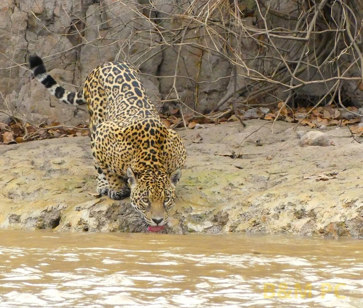 Panasonic FZ330, F5.6, 1/2000 sec, 108mm, ISO 1600