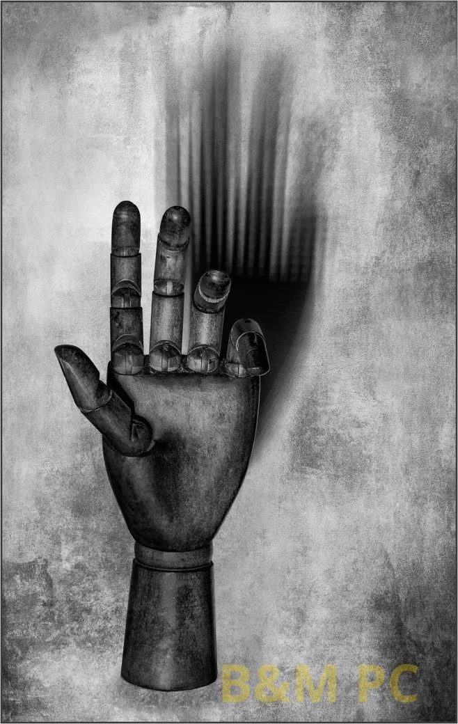 Shadow Hand.jpg