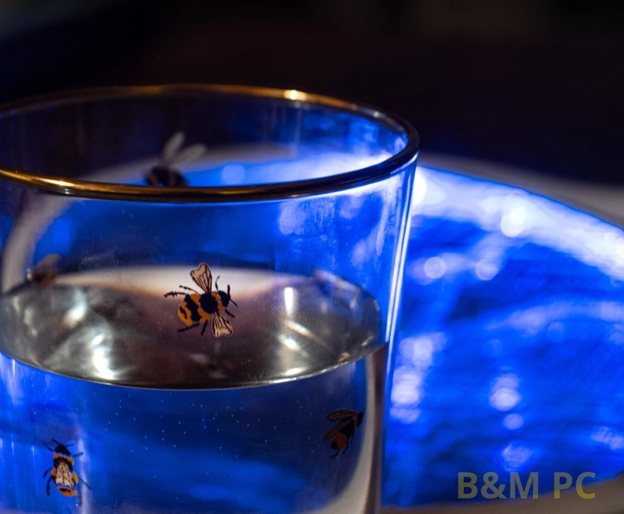 Electric Blue Bee..jpg