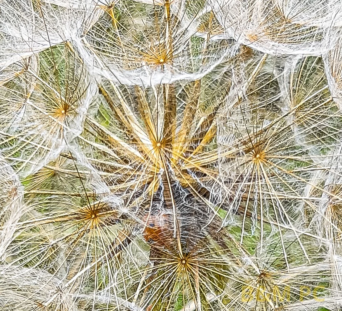 Samsung A405 F1.7, 1/230sec, 3.92mm, ISO 40