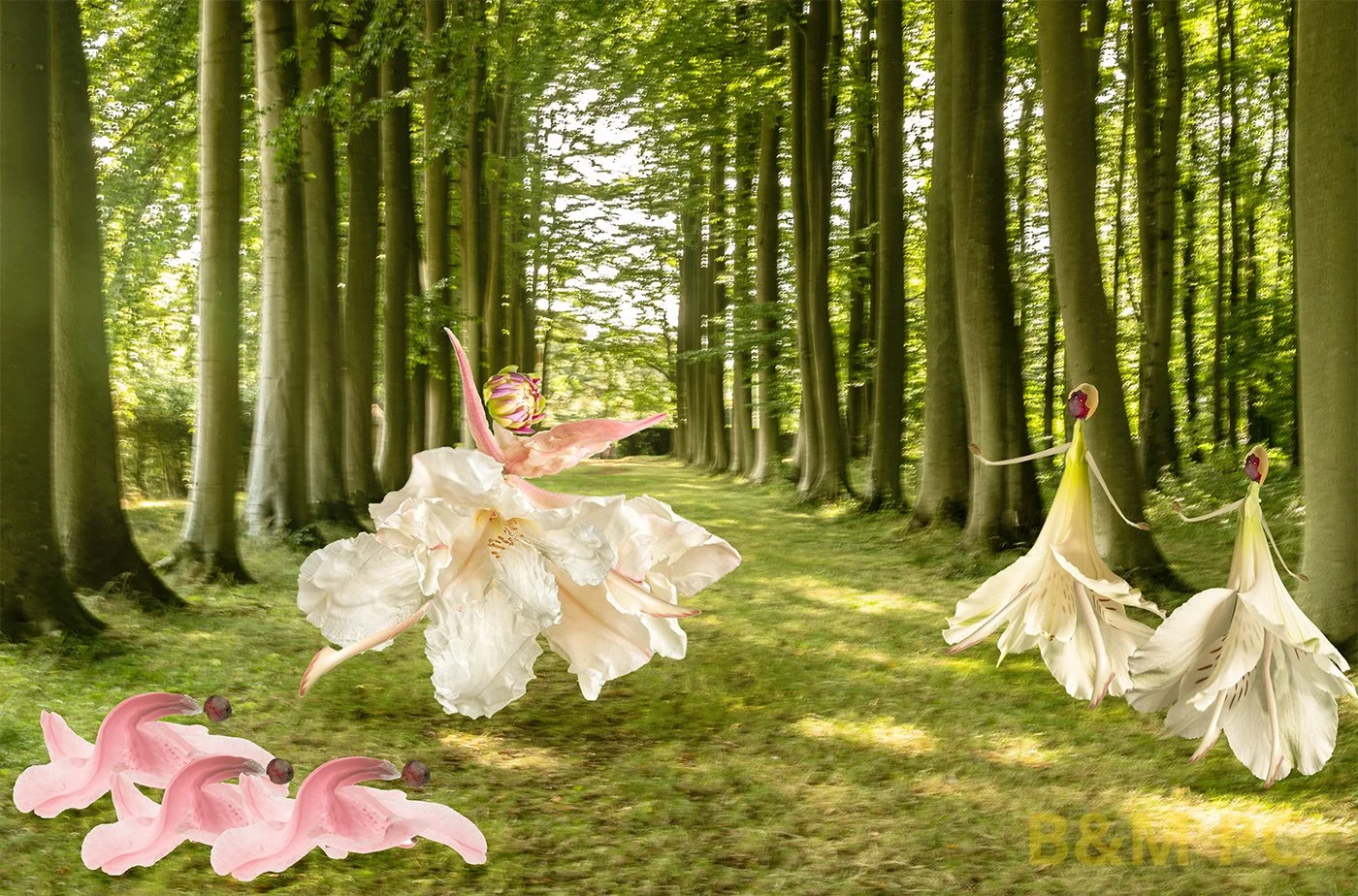 Dancers in the woods.jpg