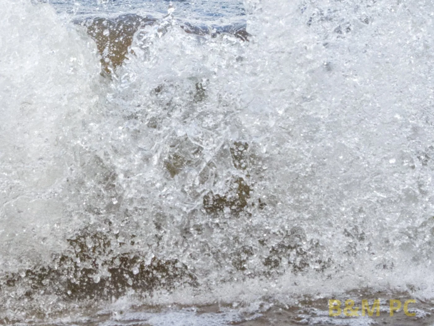 Nikon D500 f/11 1/2000 sec