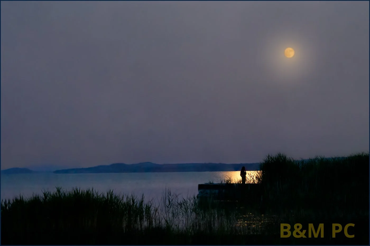 By the light of the moon.jpg