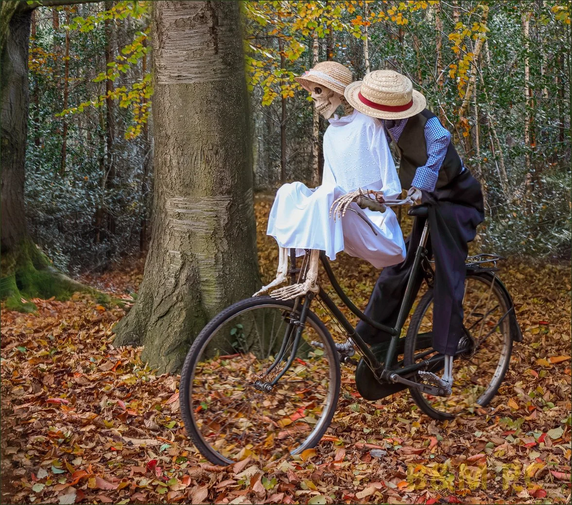 Valentines day ride.jpg
