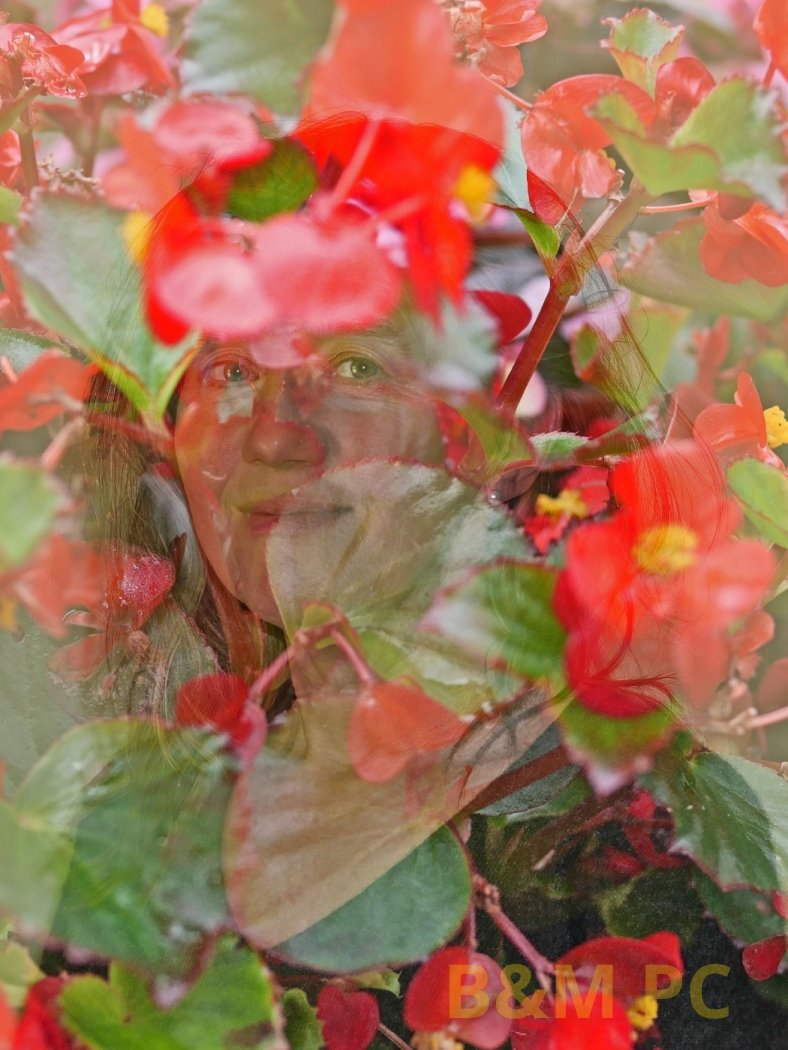 Flower Arrangment.jpg