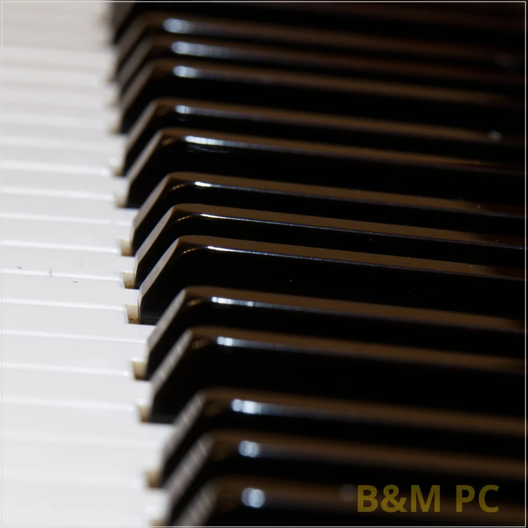 Nikon D500 F9, 1/2sec 78mm, ISO 140