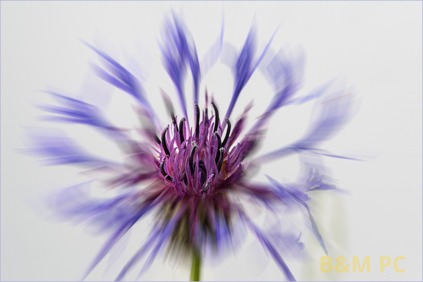 Nikon D750 f/14 1/50 sec