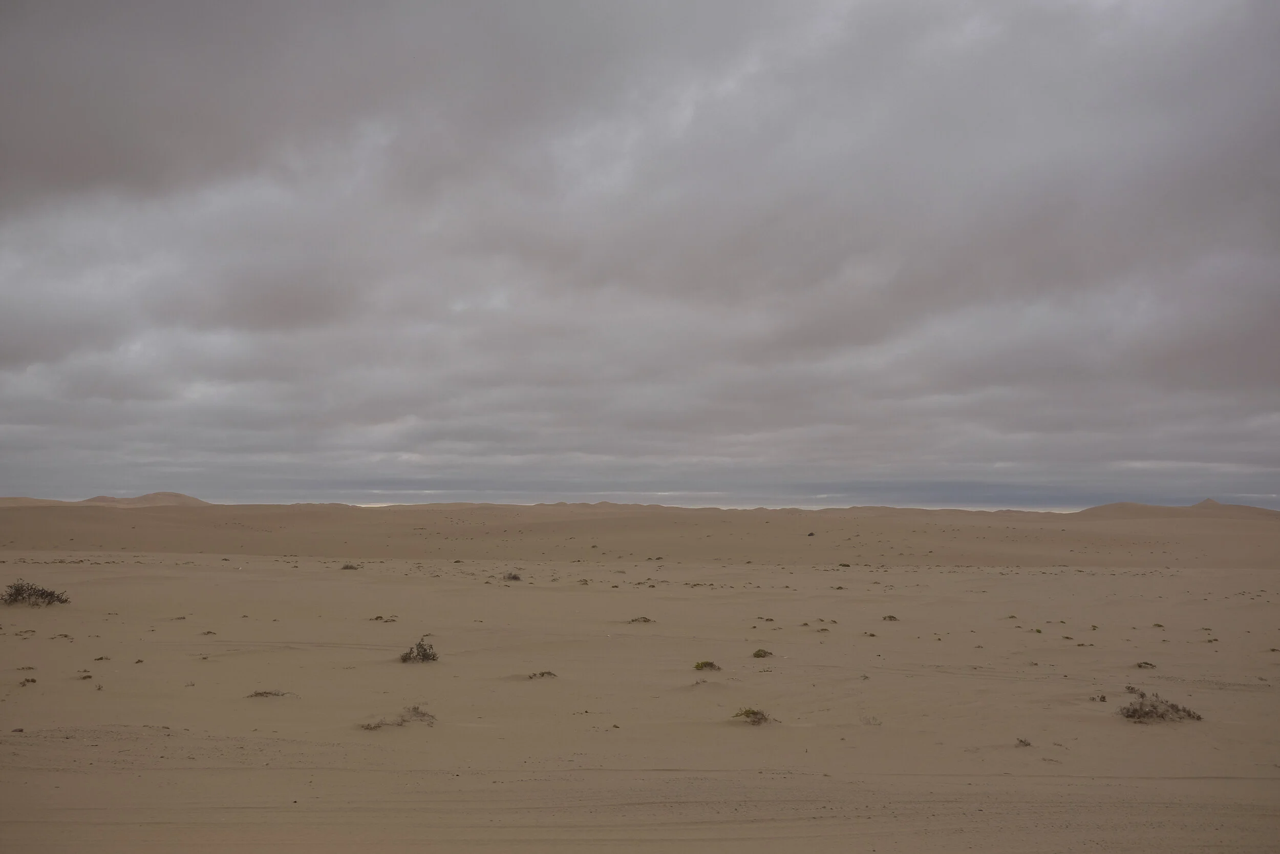 DSCF4638.jpg