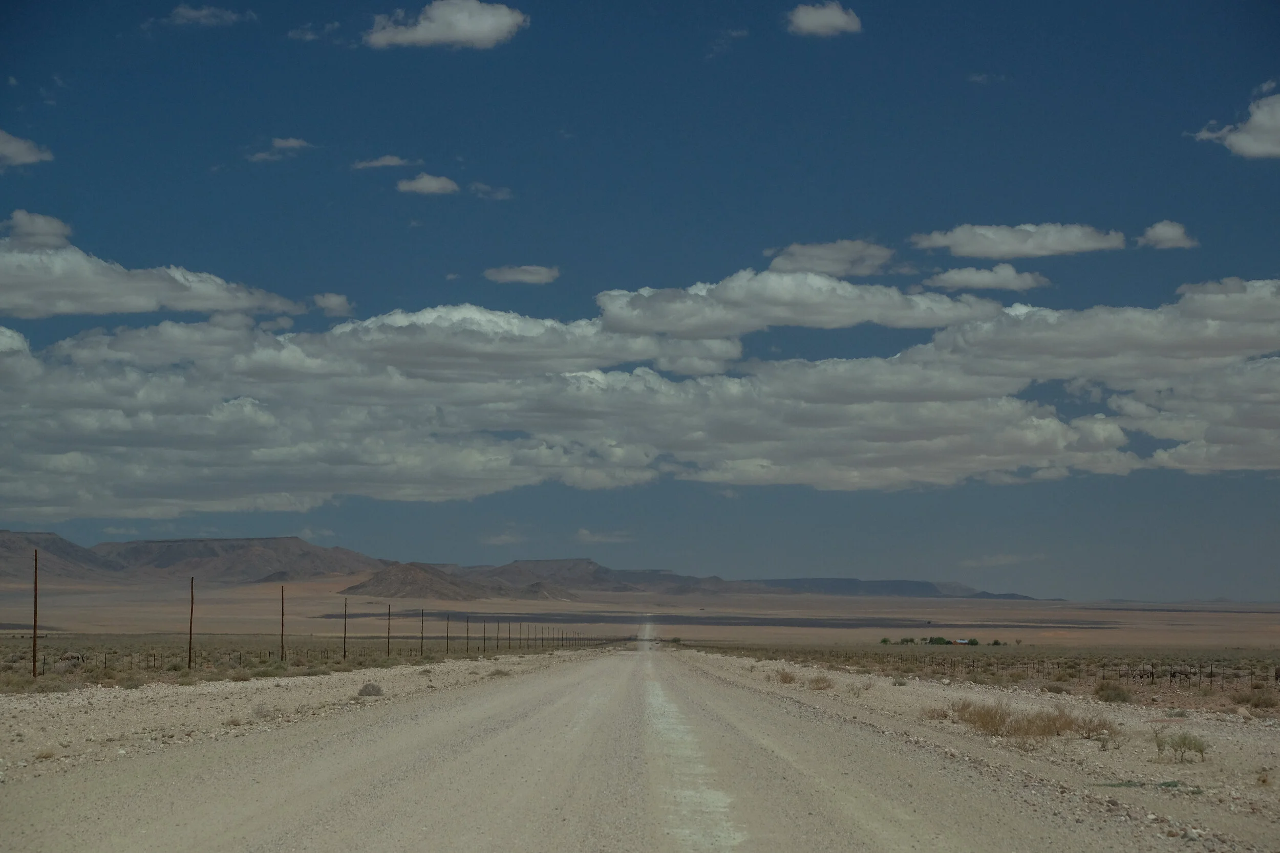 DSCF6373.jpg