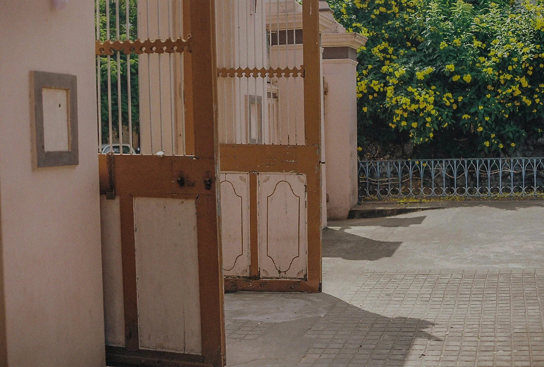 000024-min.jpg