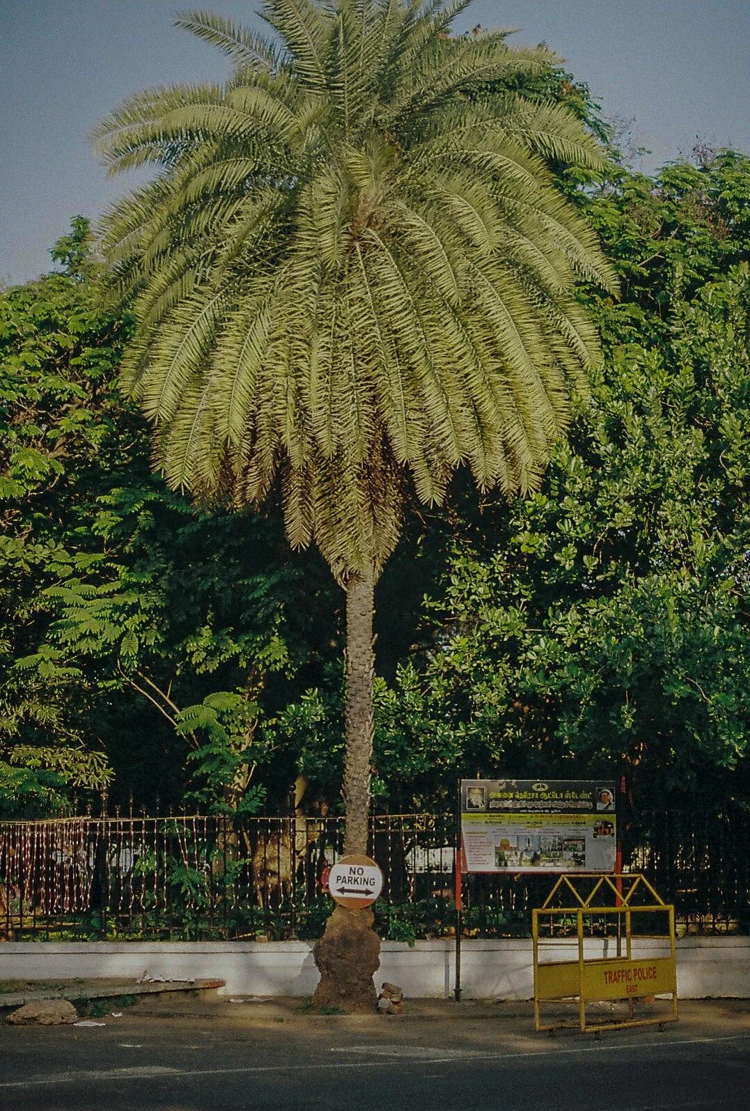 000036-min.jpg