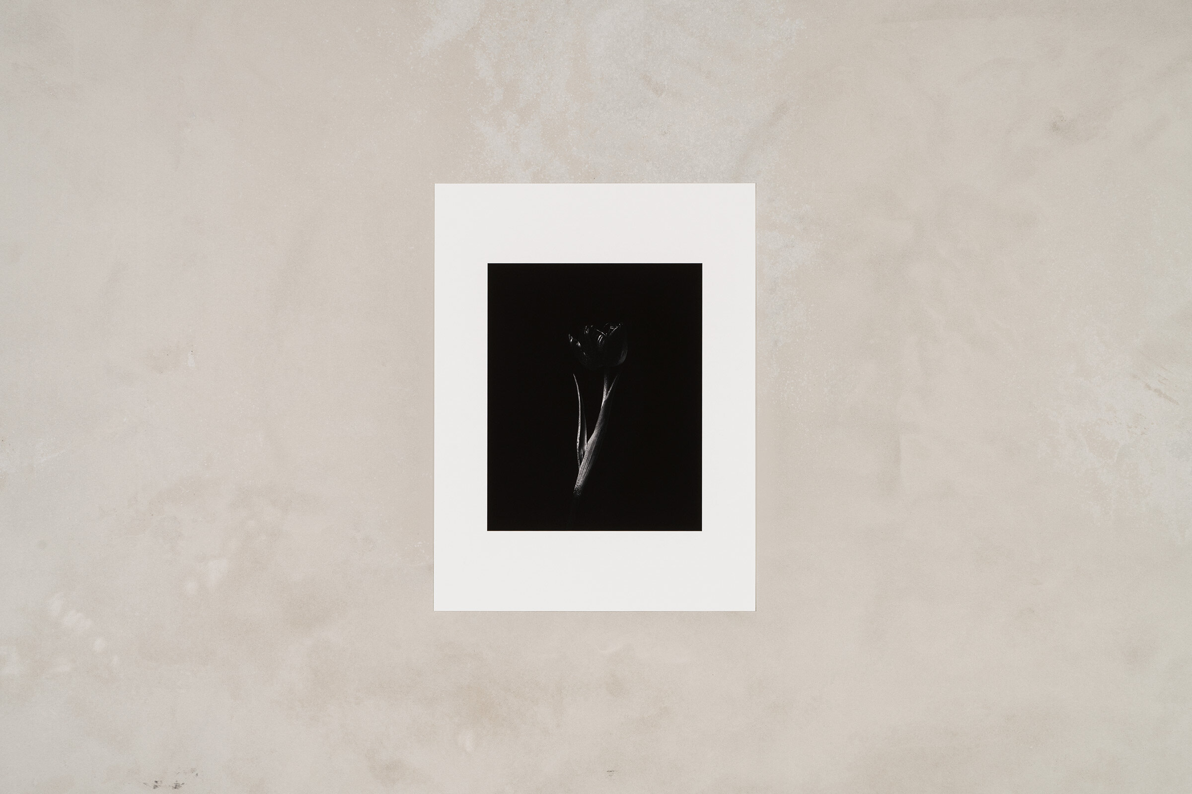 Umbra II