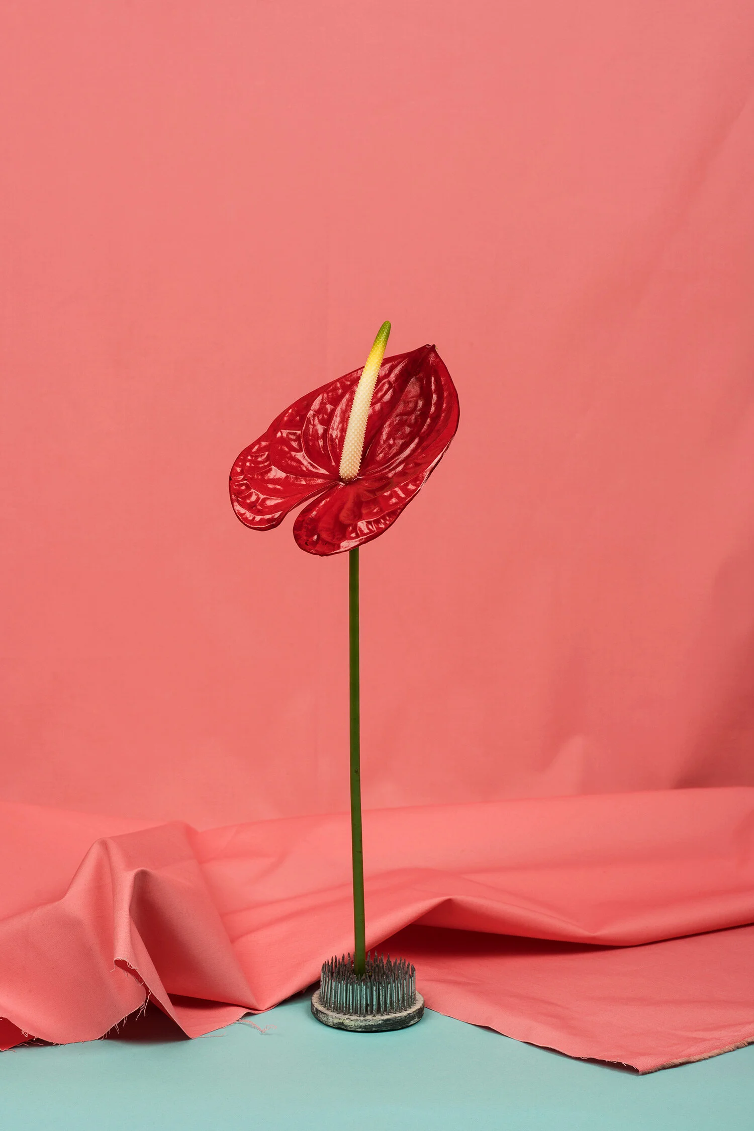 In collaboration with Jack Fleuriste