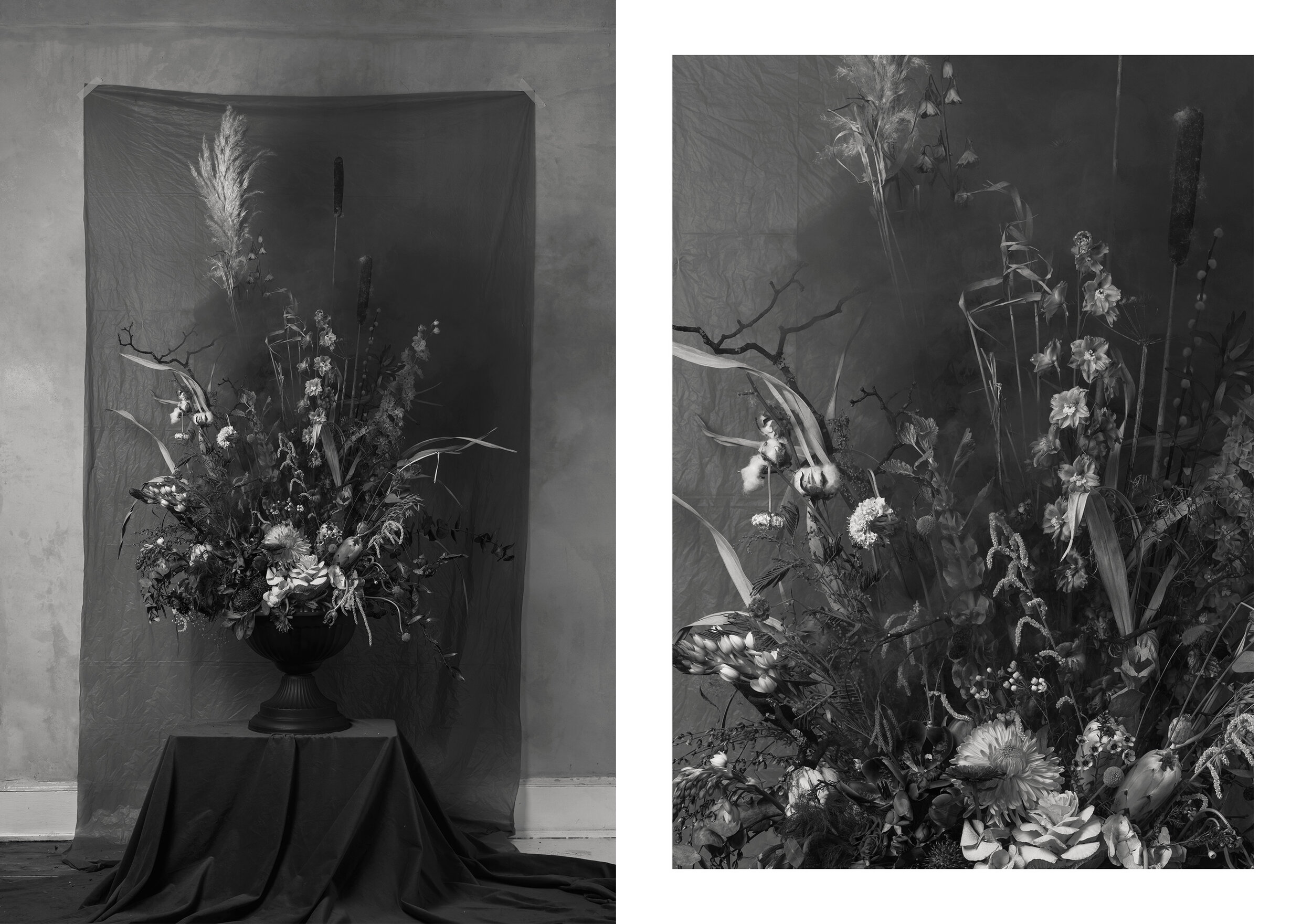 In collaboration with Flowers Vermillion