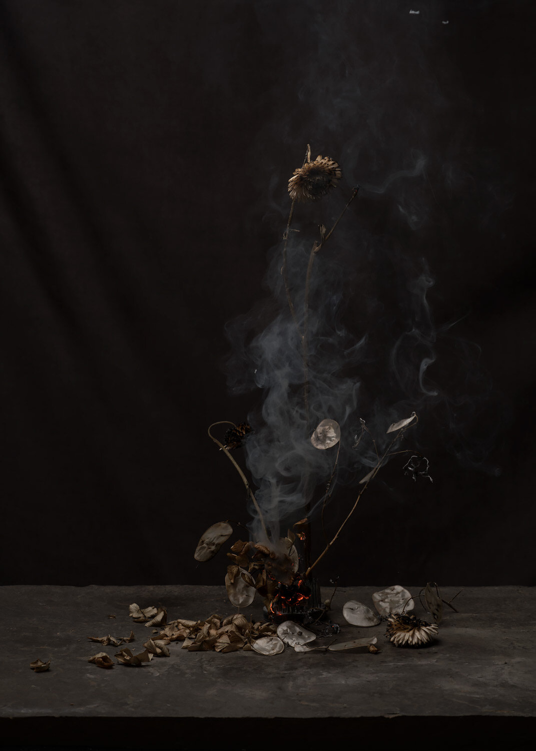 In collaboration with PYRUS