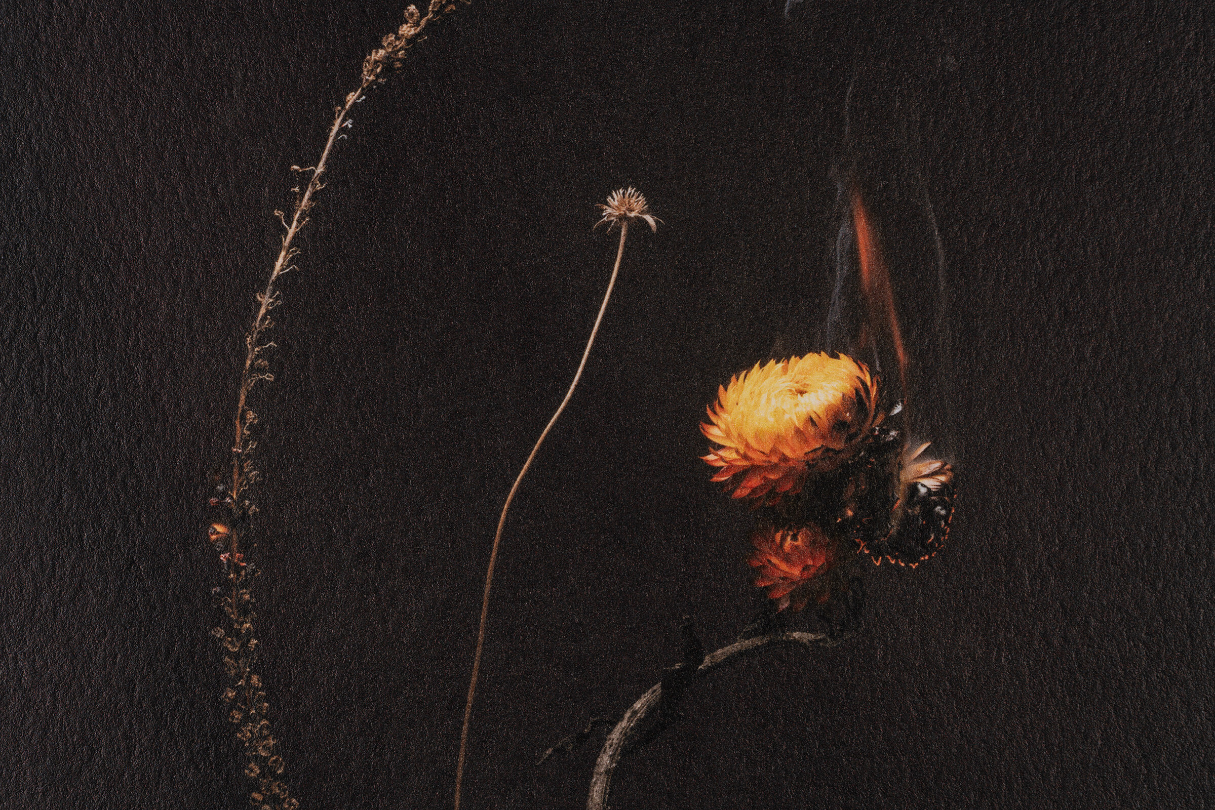 consummationx-detail.jpg