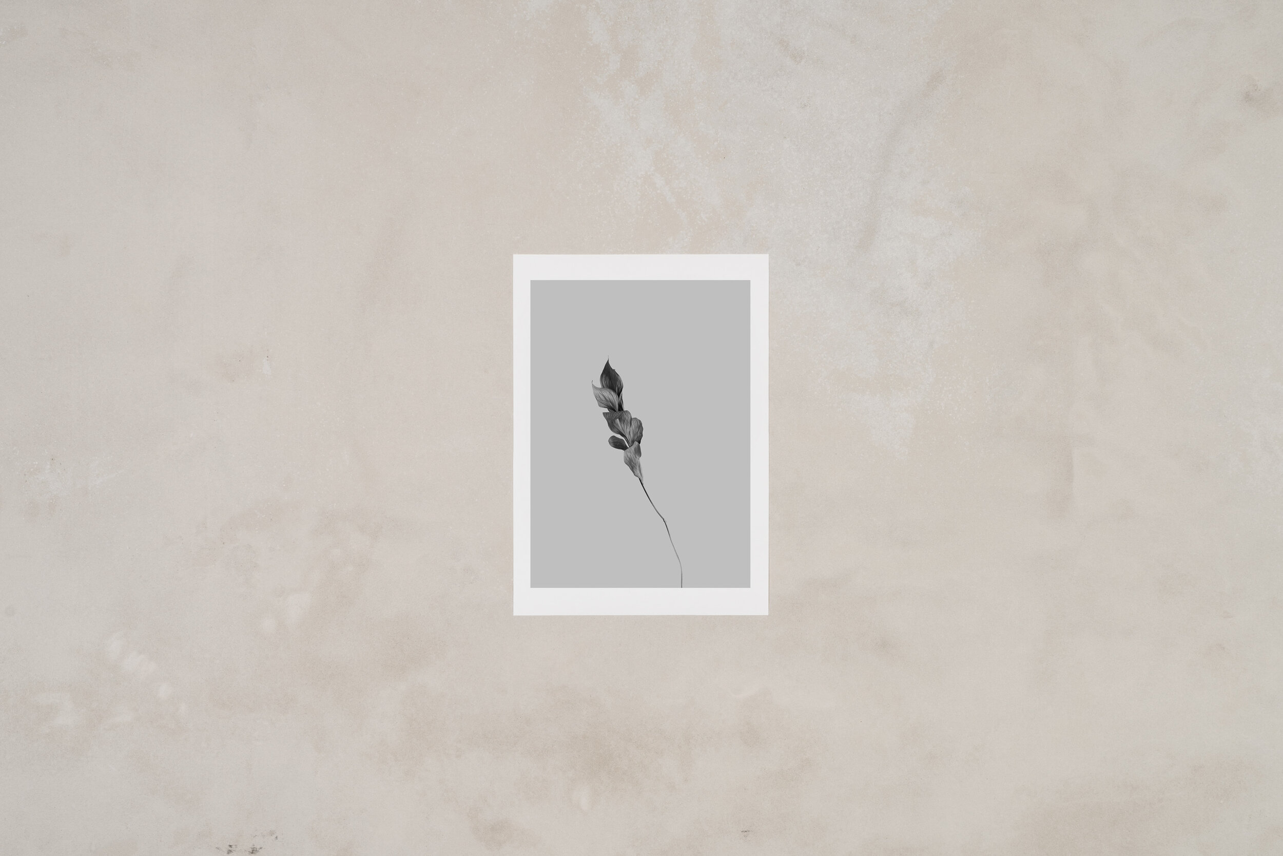 gabriela-silveira-foliage-fine-art-print-2.jpg