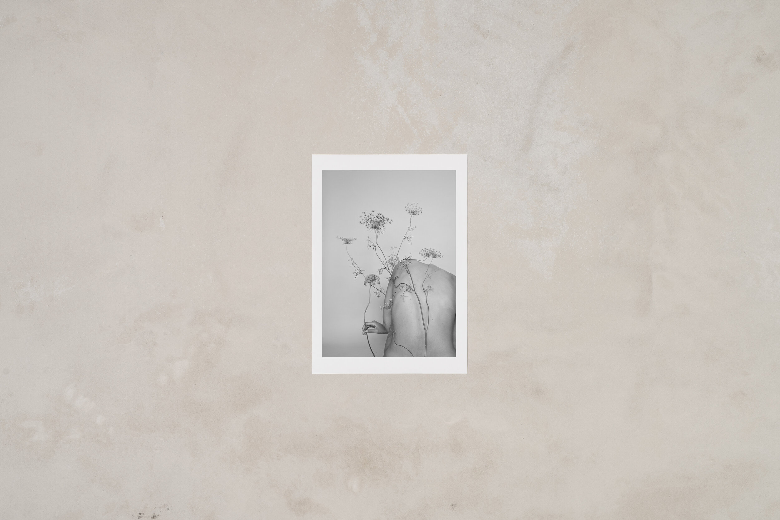 gabriela-silveira-print-ammi-back.jpg