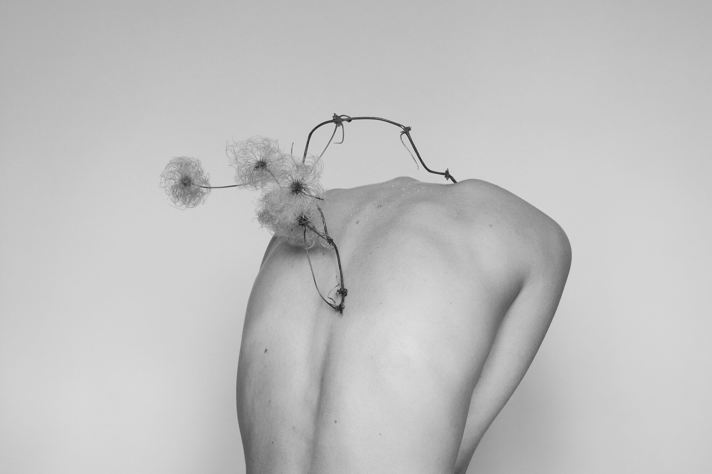 gabriela-silveira-photography-botanical-studio-4.jpg