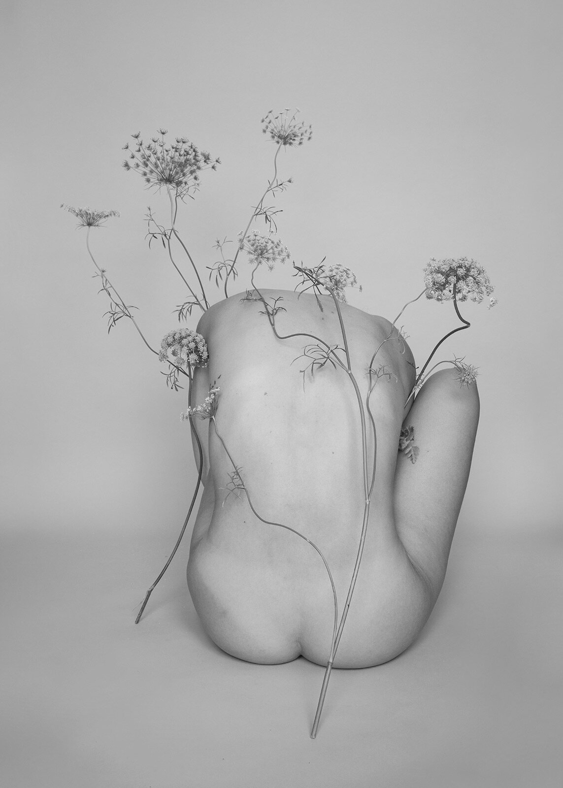 gabriela-silveira-photography-botanical-studio-2.jpg