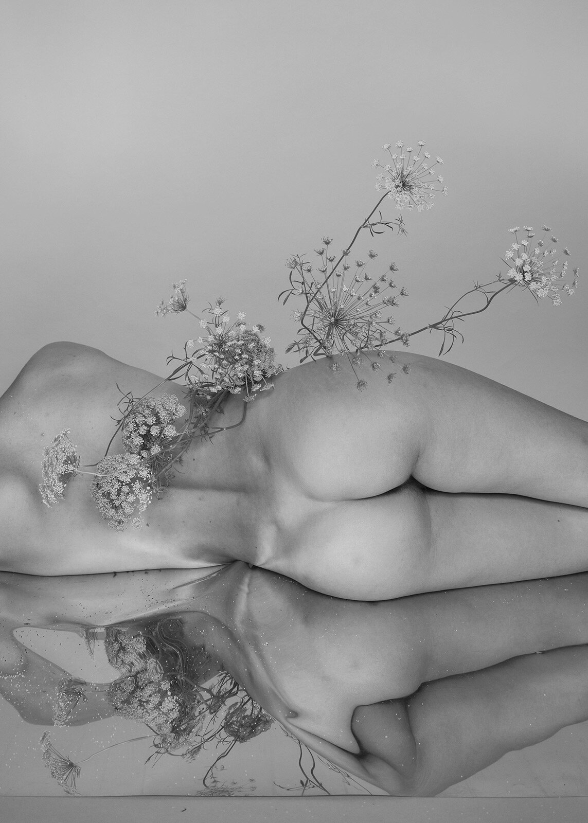 gabriela-silveira-photography-botanical-studio-5.jpg