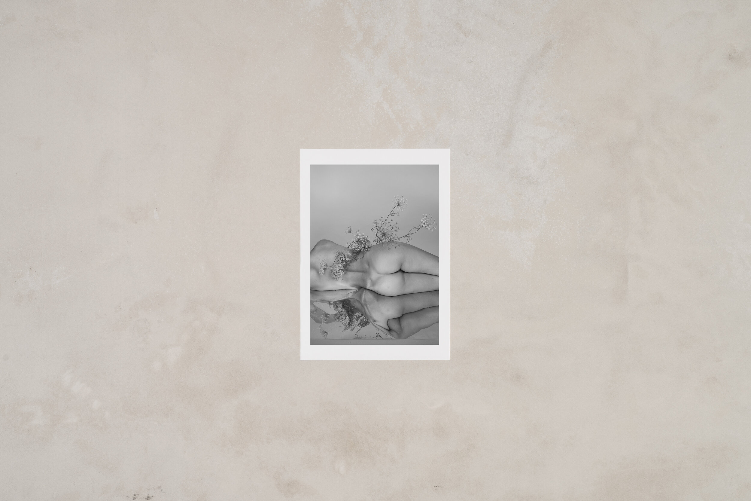 Nude with Ammi and Daucus III