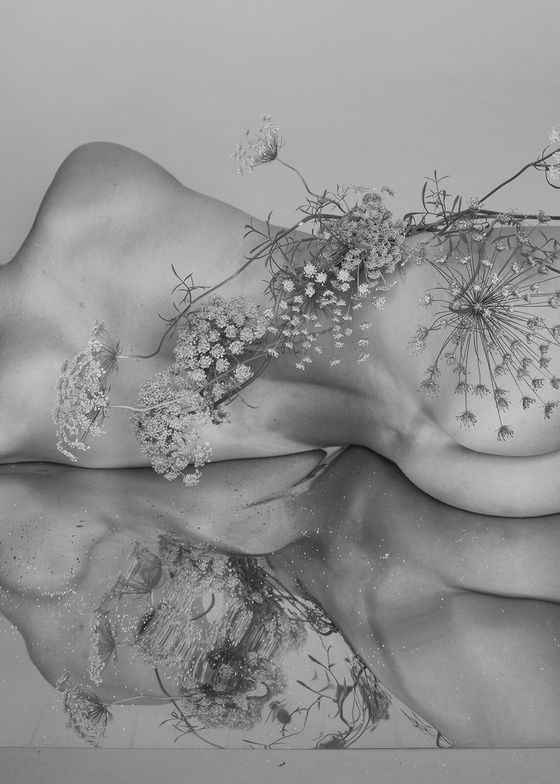 gabriela-silveira-photography-botanical-studio-6.jpg