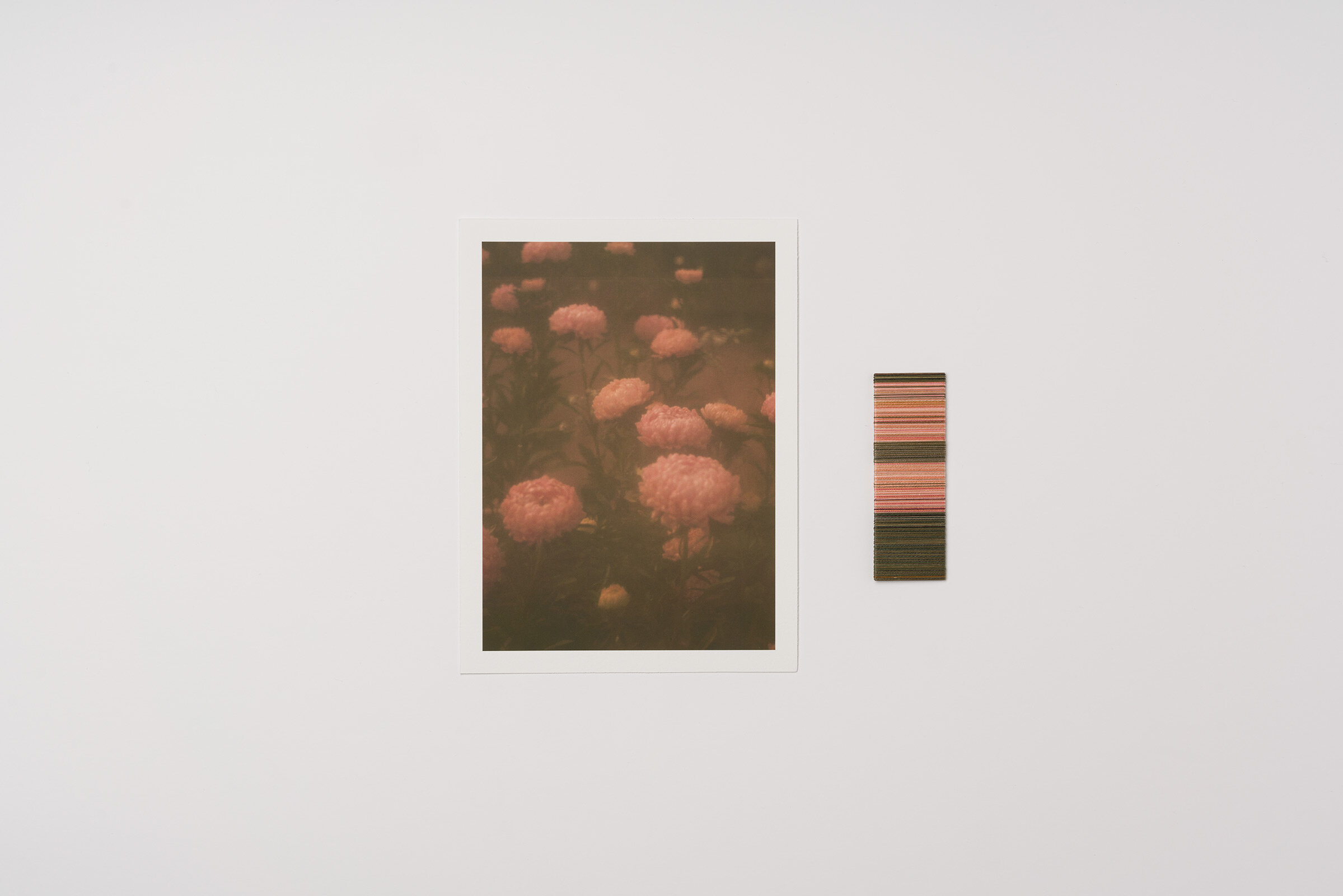 colour-wraps2578.jpg