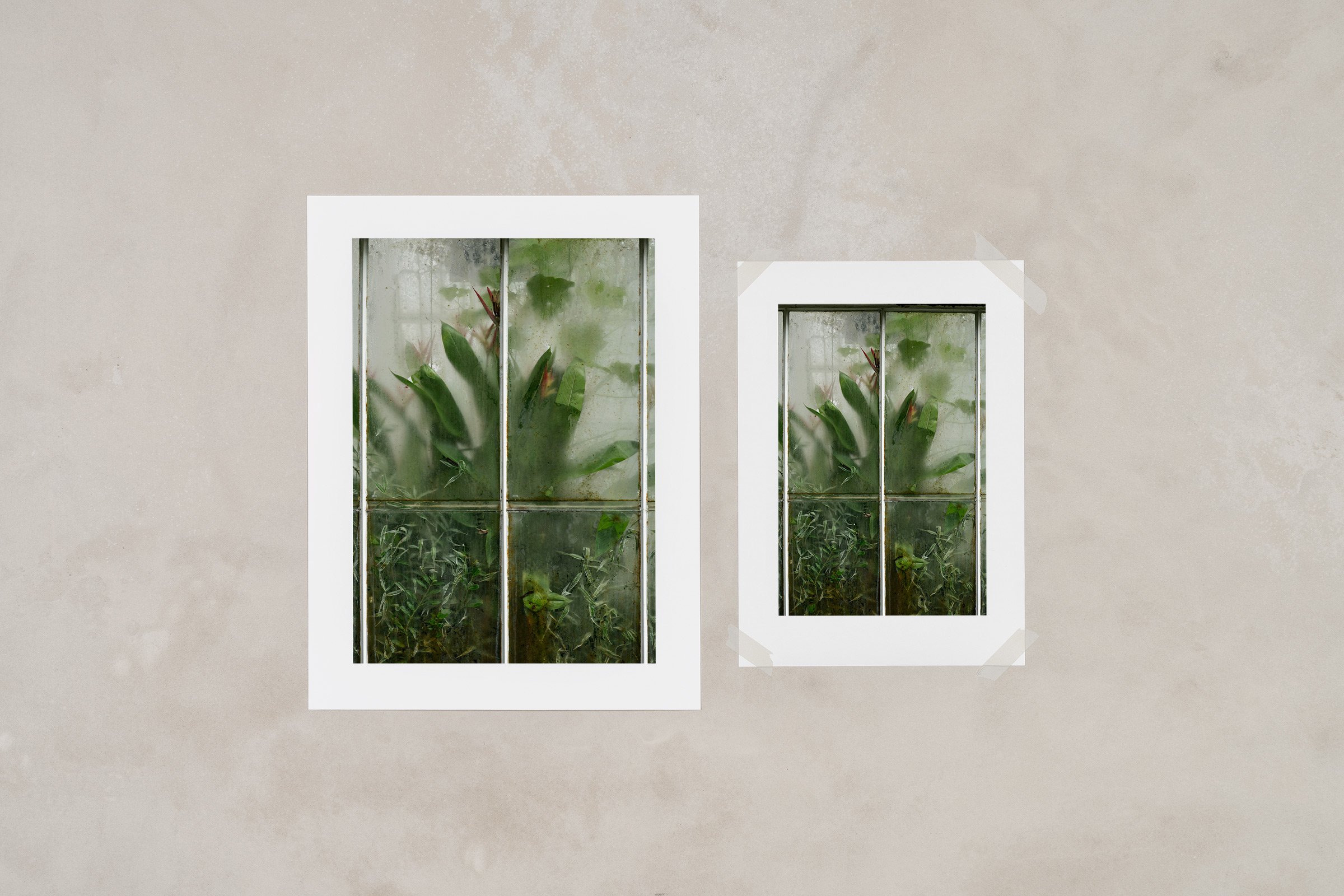 Glasshouse I