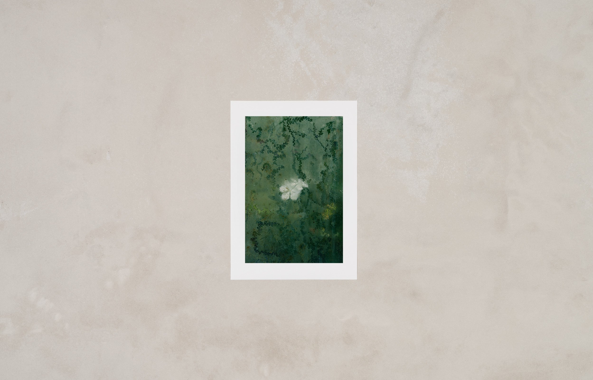 glasshouse-print.jpg