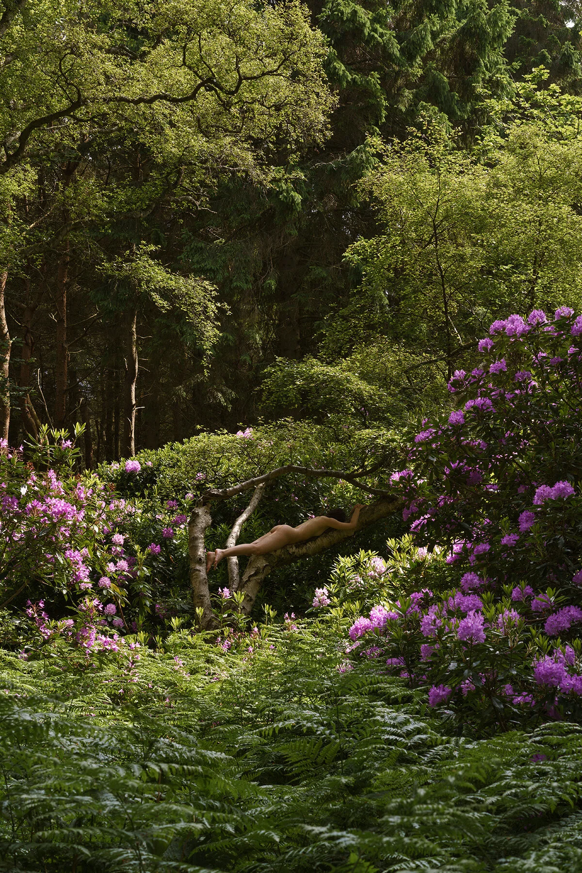 gabriela-silveira-photography-nude-nature-32.jpg