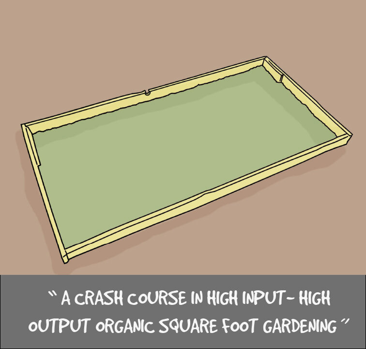 Make-your-own-squarefoot-garden-1.jpg