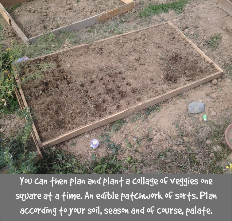 Make-your-own-squarefoot-garden-9.jpg