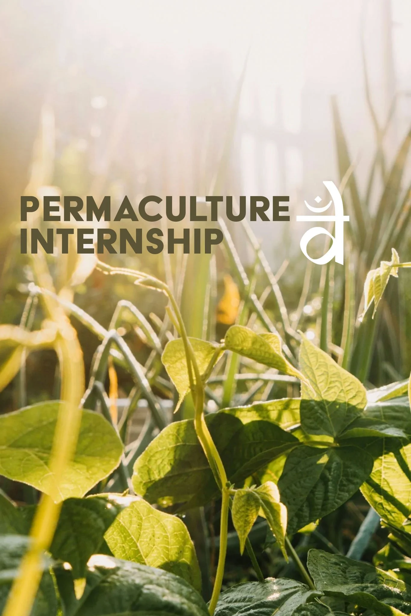 Permaculture Internship