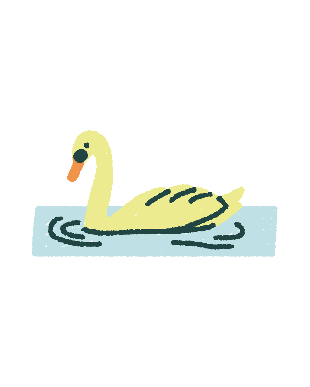 Swan