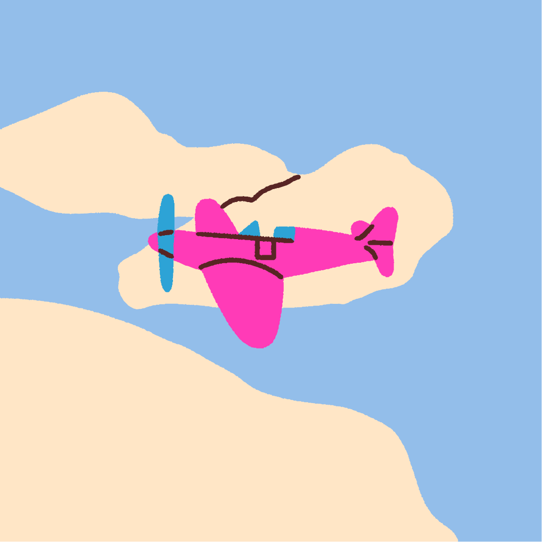 Transport Illustration Plane.png