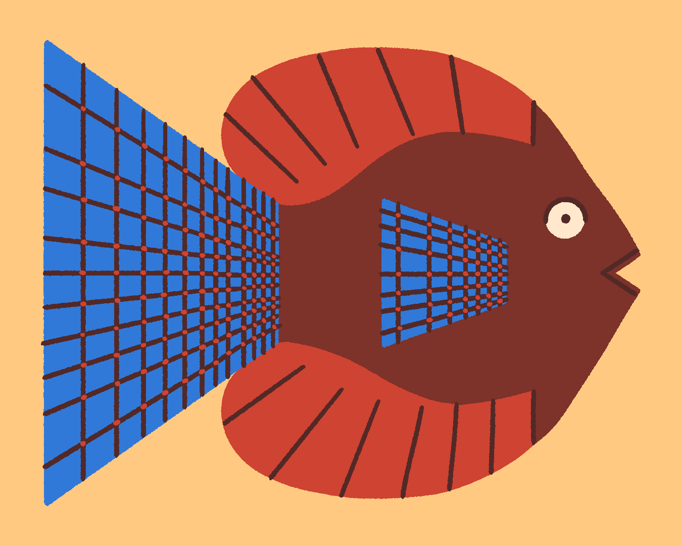 Fish Illustration 3.png