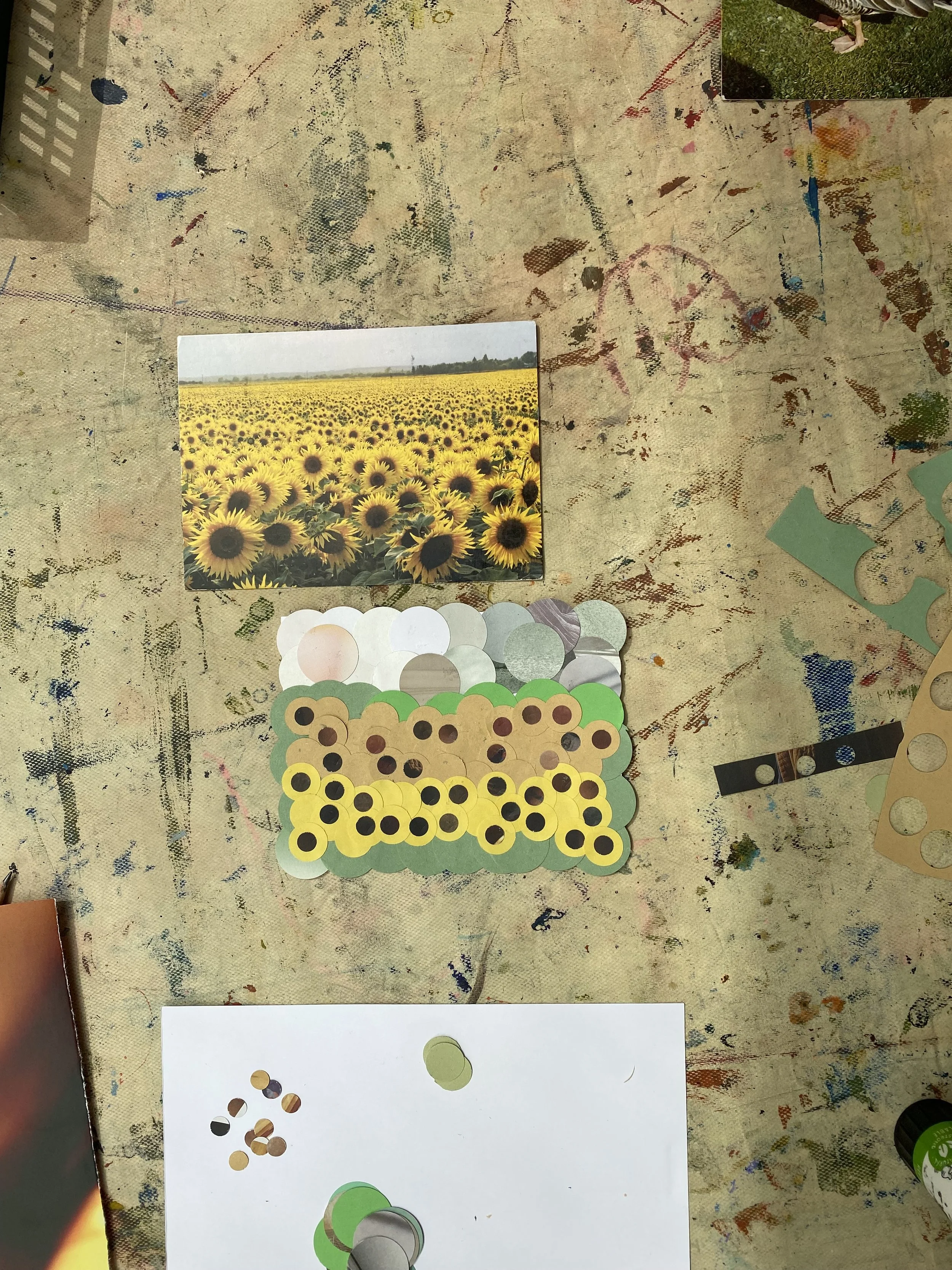 DPG - Workshop - Hole-Punch 9.jpeg