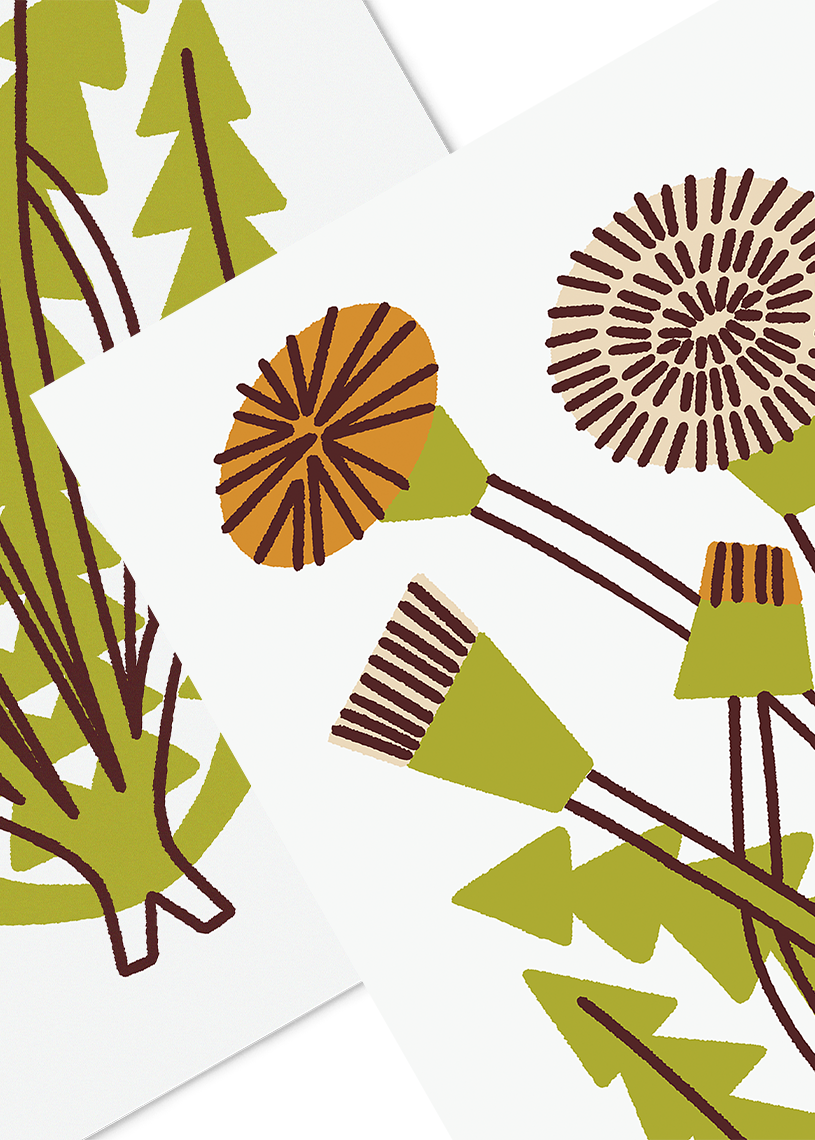 Dandelion - Close Web.png