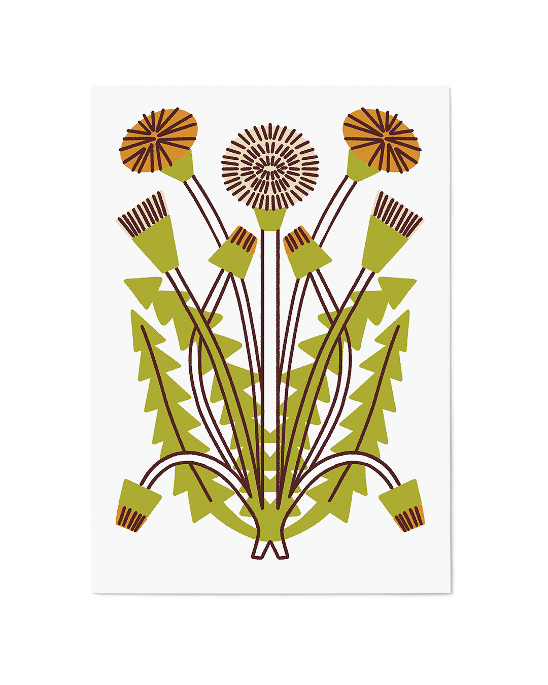 Dandelion