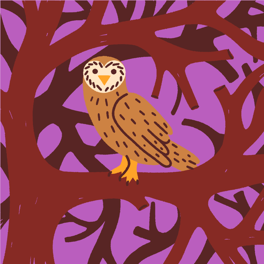 Eastleigh New Illustration Owl 1.png