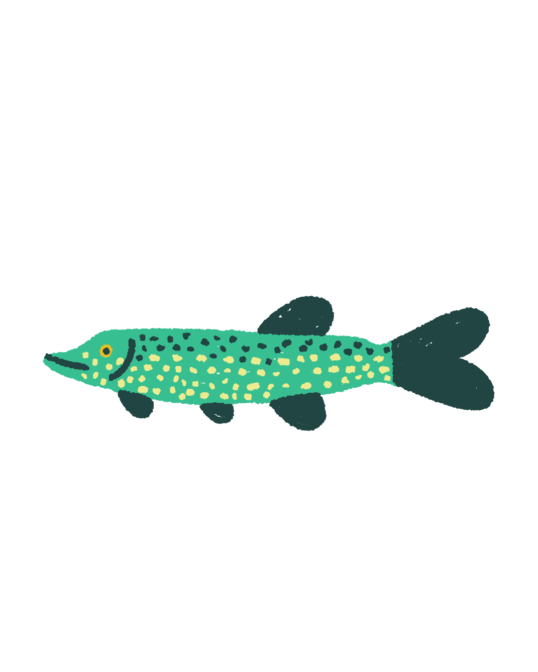 Pike