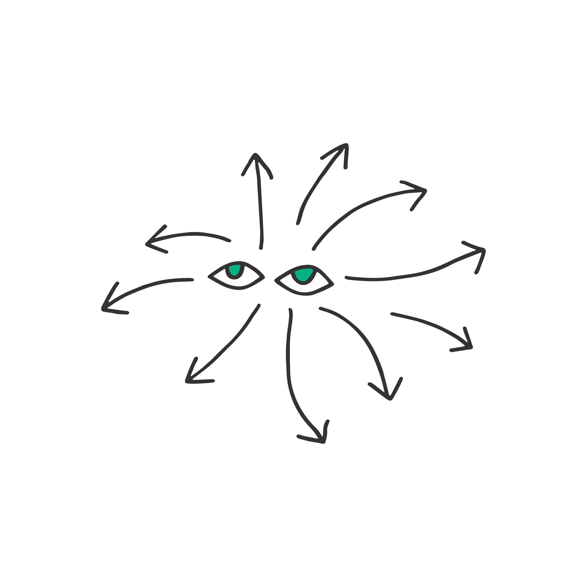 Platypus - Web Drawings-04.jpg
