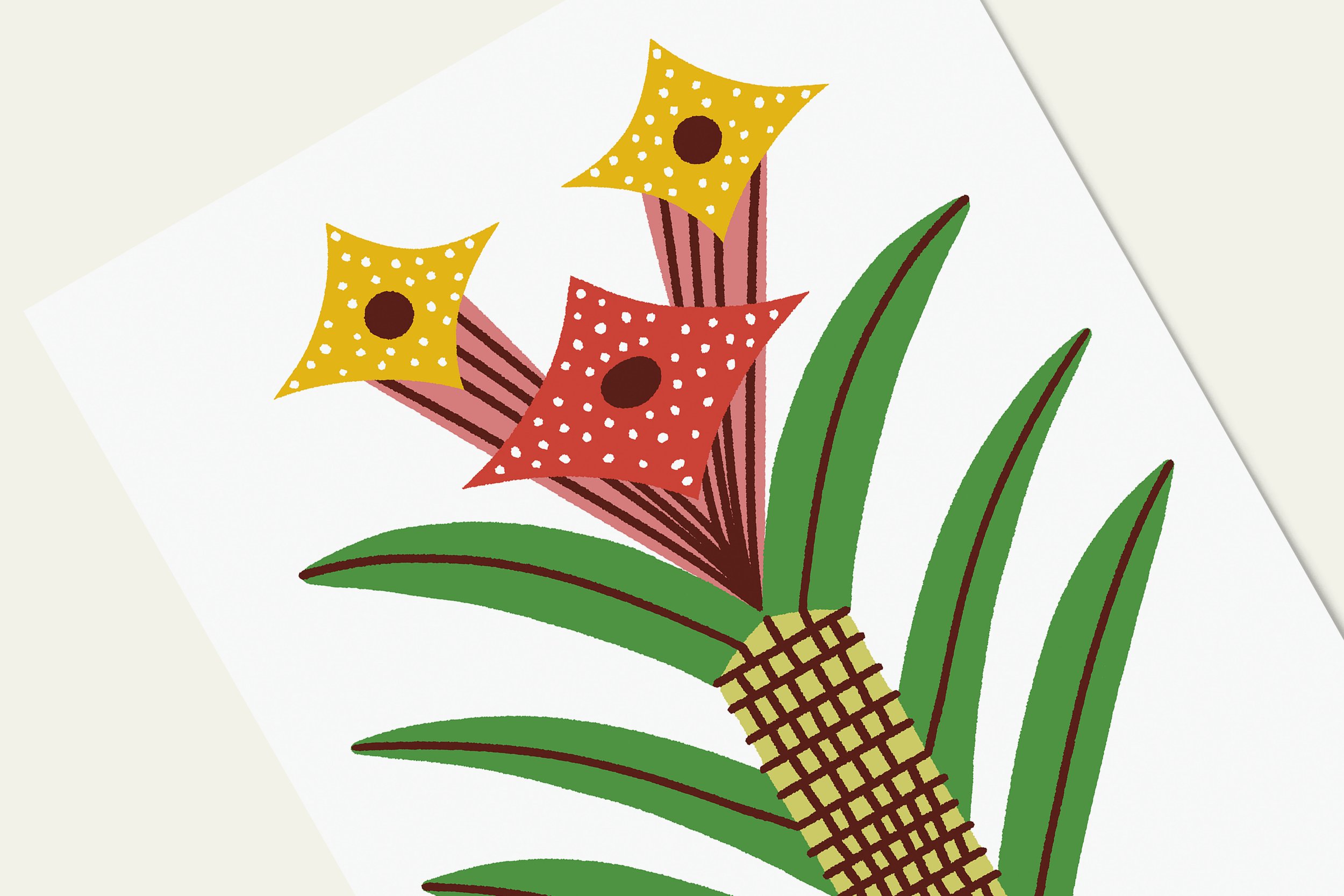 Banana Star - Top.jpg