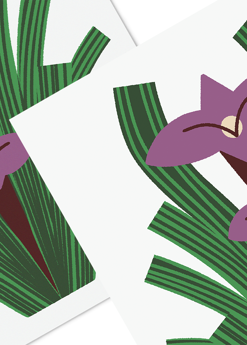 Paper Lilly - Close Web.png