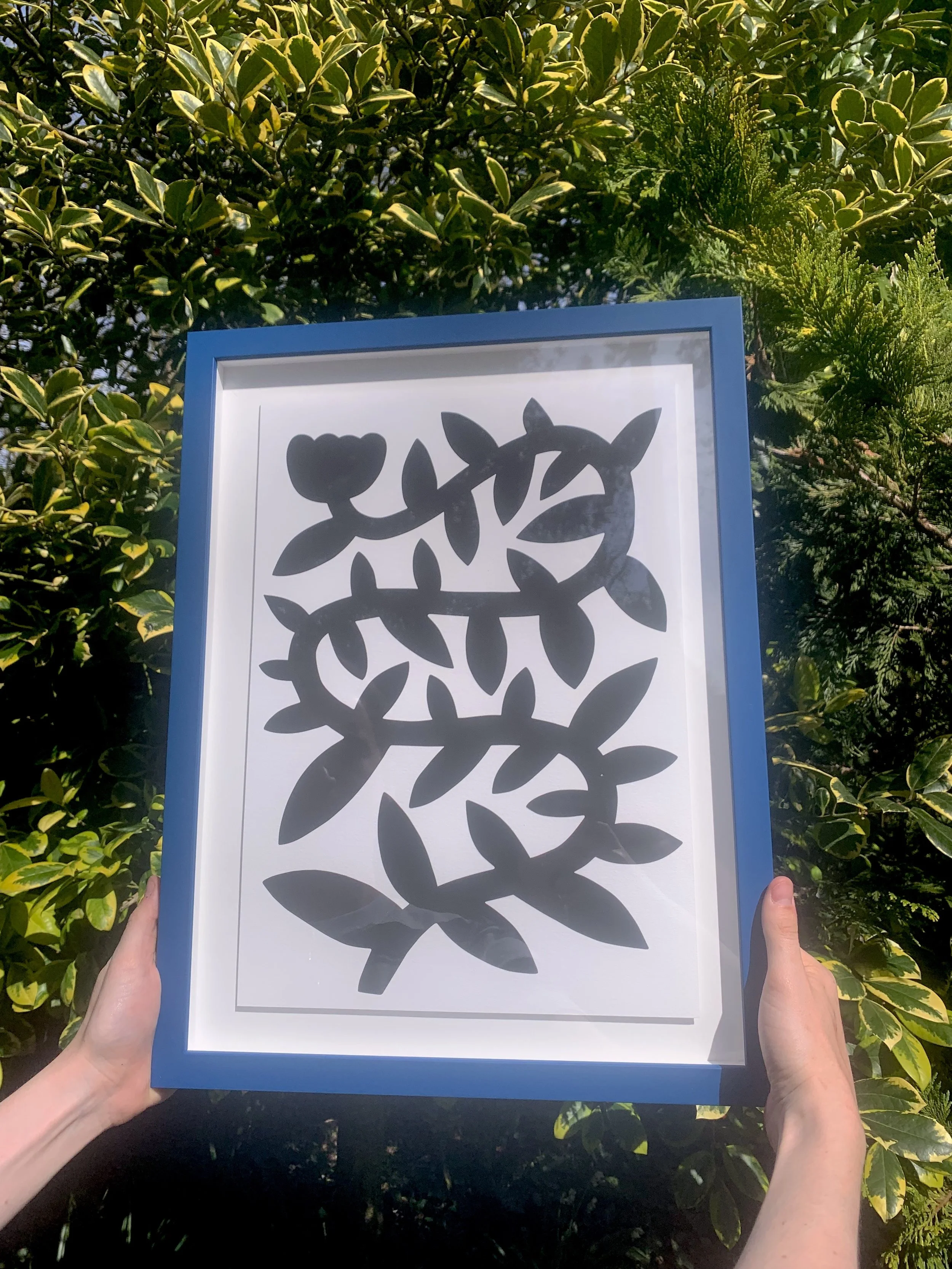 Shop - Steady Growth