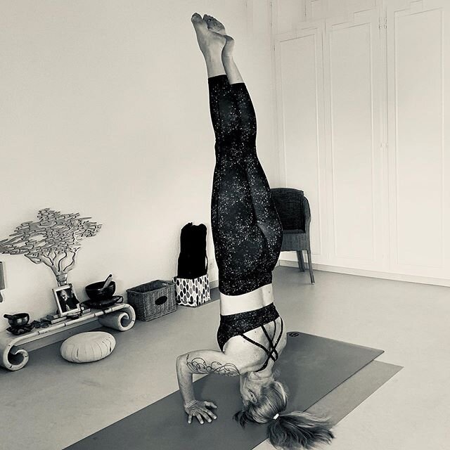 Yoga at home! 😜#yoga #asthangayoga #meditation #zenattitude 🌺🌺🌺